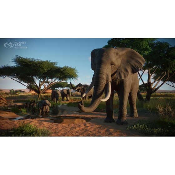 Planet Zoo: Console Edition - PS5 image 6