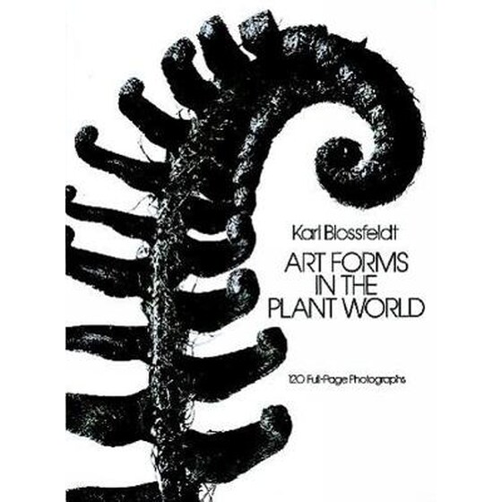 Art Forms in the Plant World image 0