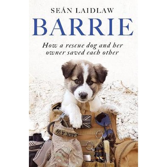 Barrie image 0