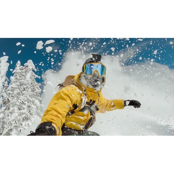 Αξεσουάρ Action Κάμερας GoPro Accessory Kit - Μαύρο image 7