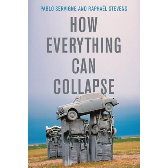 How Everything Can Collapse image 0
