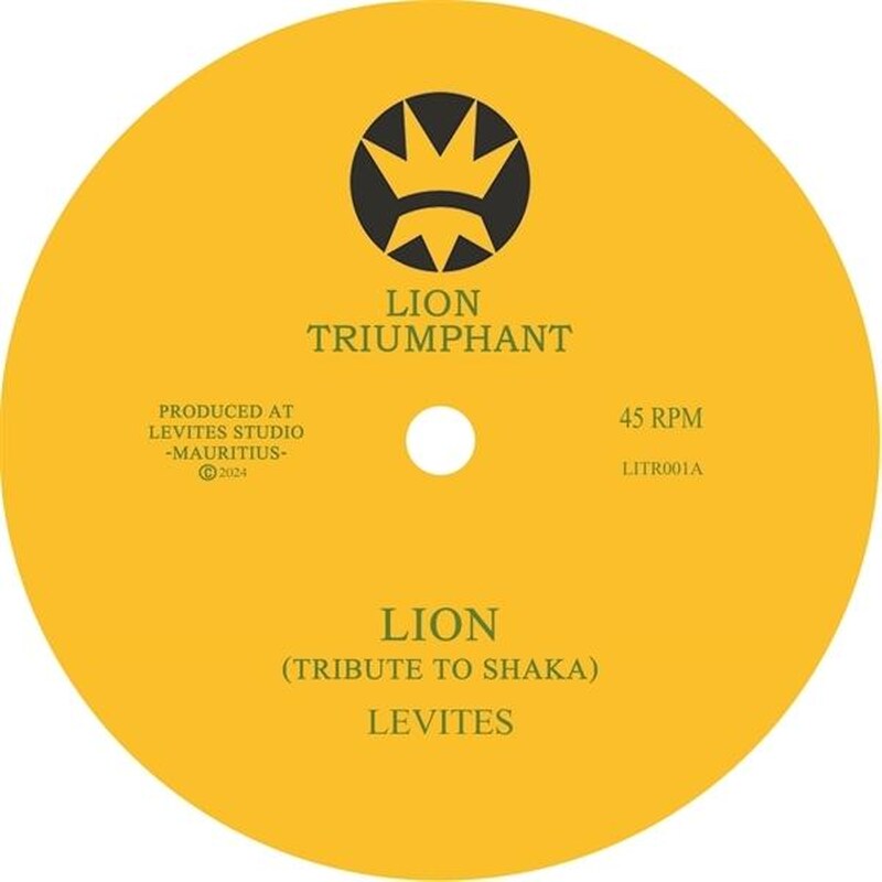 Lion - Tribute To Shaka