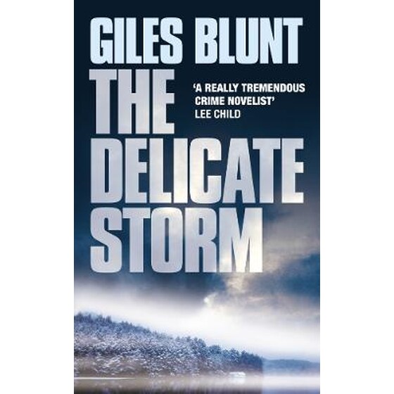 DELICATE STORM image 0