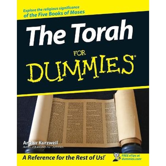 The Torah For Dummies image 0