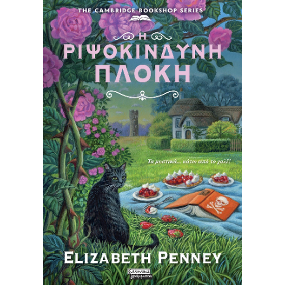 Η ριψοκίνδυνη πλοκή image 0