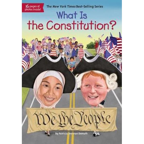What Is the Constitution? image 0