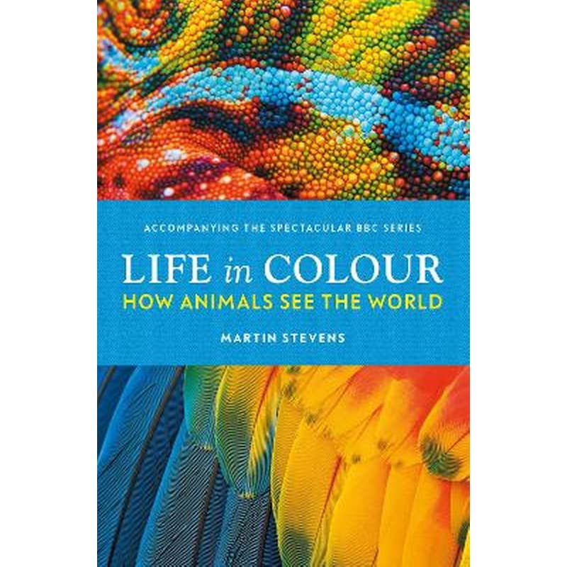 Life in Colour