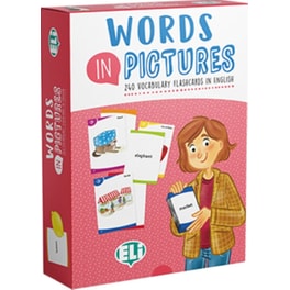 Words In Pictures Flashcards Digital Version