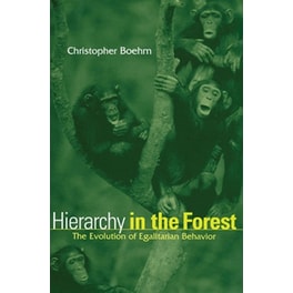 Hierarchy in the Forest