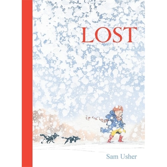 Lost image 0