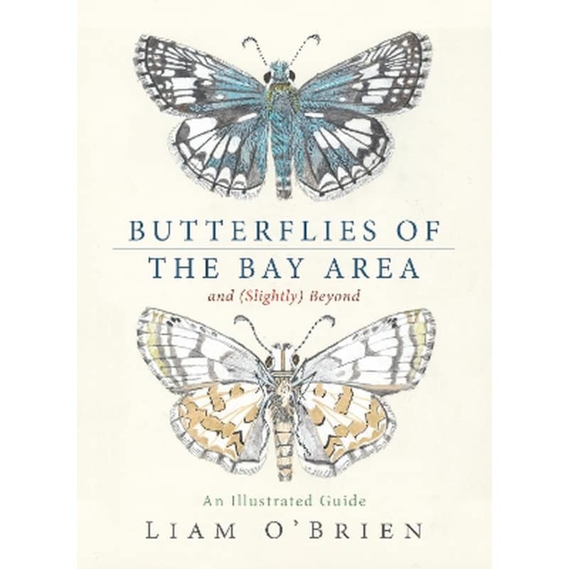 Butterflies of the Bay Area and (Slightly) Beyond