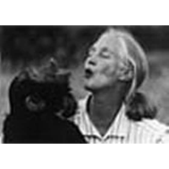 Στη σκιά του ανθρώπου image 1