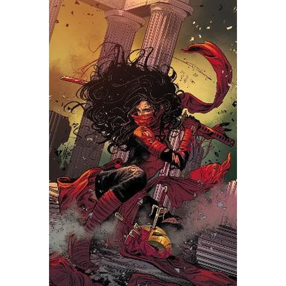 DAREDEVIL & ELEKTRA BY CHIP ZDARSKY VOL. 2 image 0