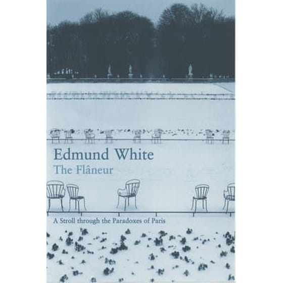 The Flaneur image 0