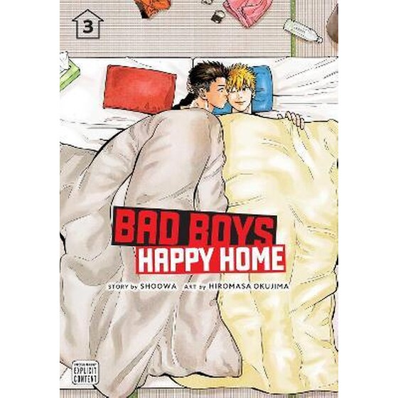 Bad Boys, Happy Home, Vol. 3 image 0