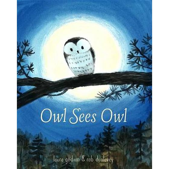 Owl Sees Owl image 0