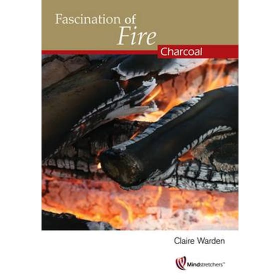 Fascination of Fire: Charcoal image 0