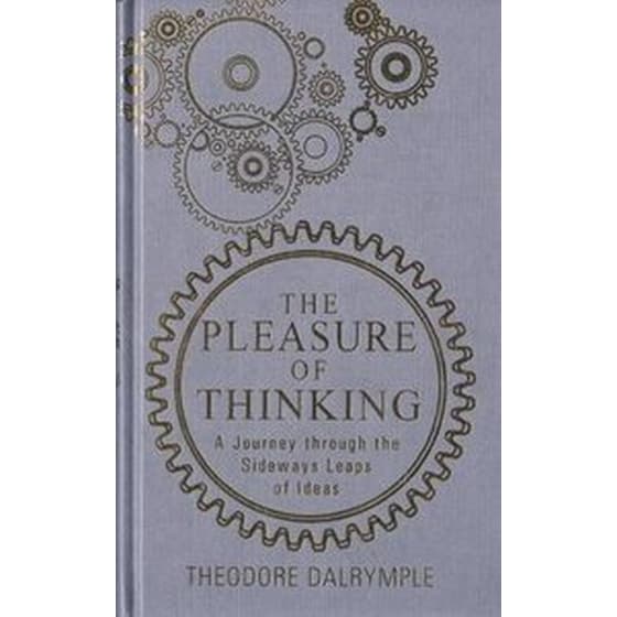 The Pleasure of Thinking image 0