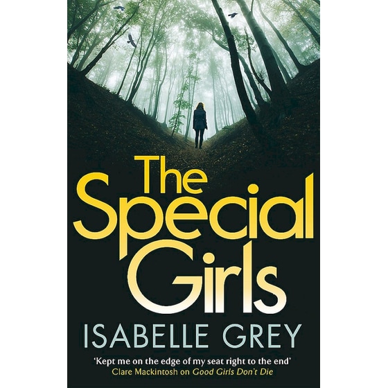 The Special Girls image 0