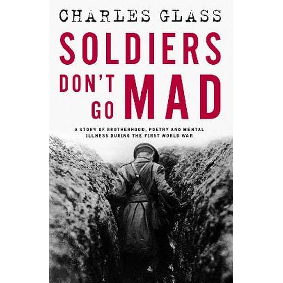 Soldiers Don't Go Mad image 0