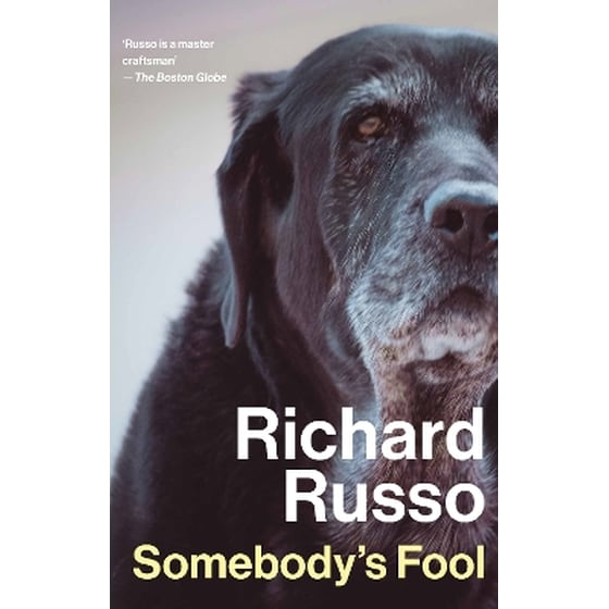 Somebody's Fool image 0