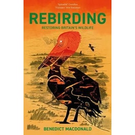 Rebirding