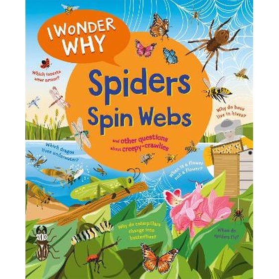 I Wonder Why Spiders Spin Webs image 0
