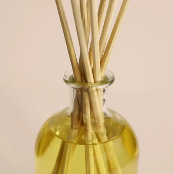 Diffuser Ambientair The Olphactory Santal 100ml - Cosy image 5