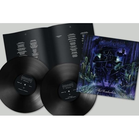 The Somberlain (2LP) (+Booklet) image 0