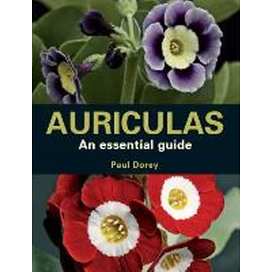 Auriculas image 0