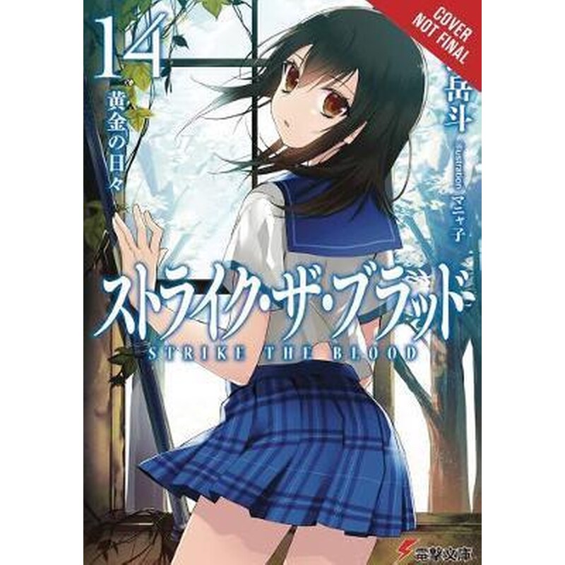Strike the Blood Vol. 14 (light novel)