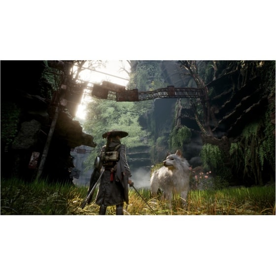 Beast of Reincarnation Deluxe Edition - PS5 image 3
