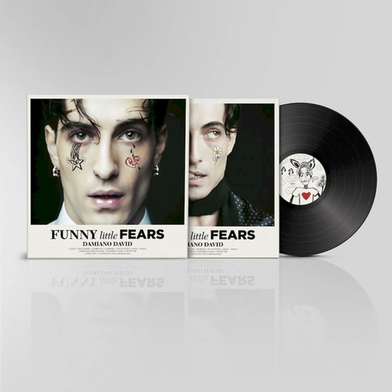 Funny Little Fears (LP) image 1