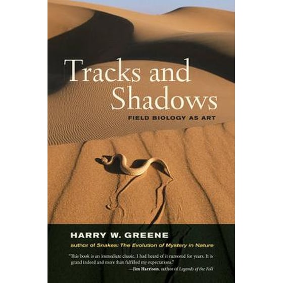 Tracks and Shadows image 0
