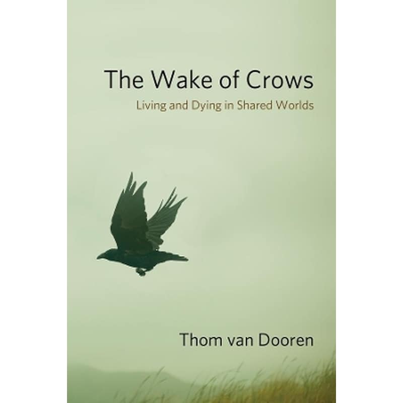 The Wake of Crows