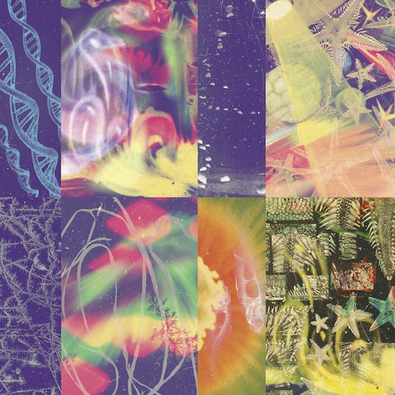 The Neon Gate (Deluxe LP)