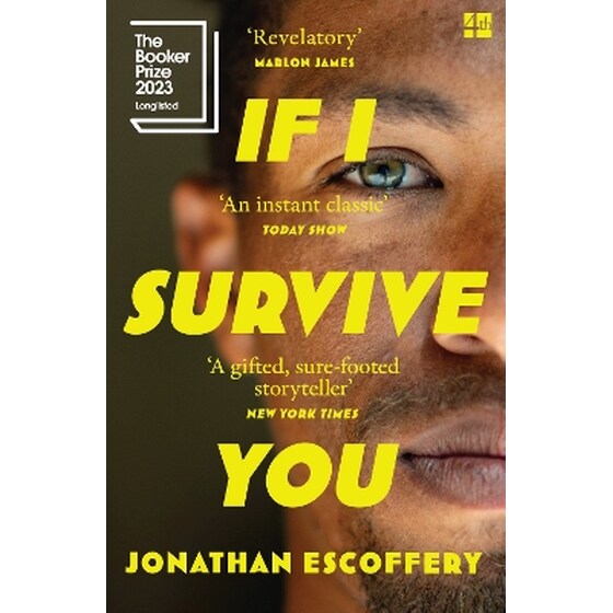 If I Survive You image 0