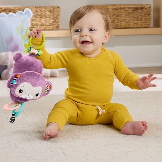Fisher-Price Κρεμαστό Μαϊμουδάκι με Μουσική (JFF02) (JFF02) image 5