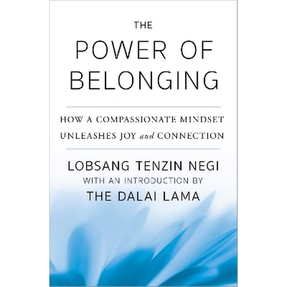 The Power of Belonging image 0