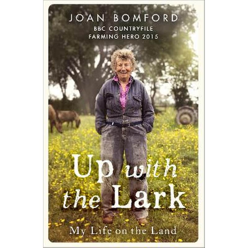 Up With The Lark