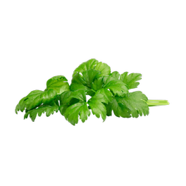Κάψουλες Click and Grow 3 Τμχ - Σέλινο
