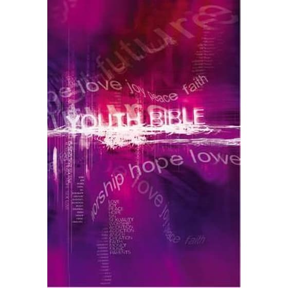 NCV Youth Bible image 0
