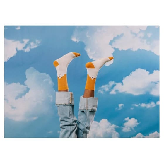 Κάλτσες DOIY Σκύλος image 3