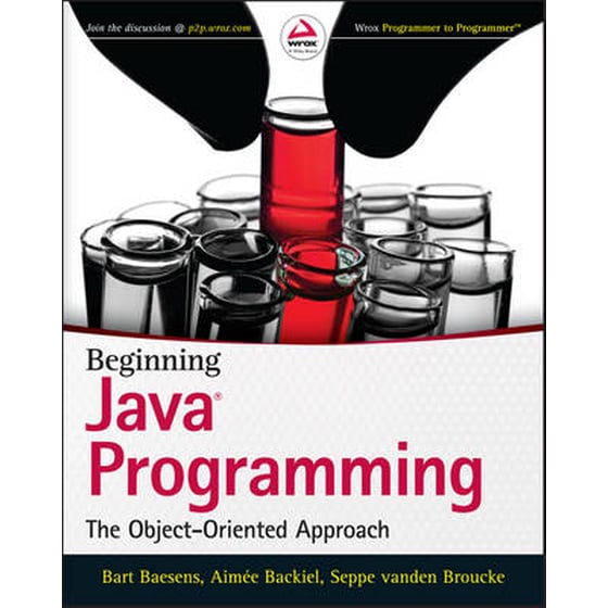 Beginning Java Programming image 0