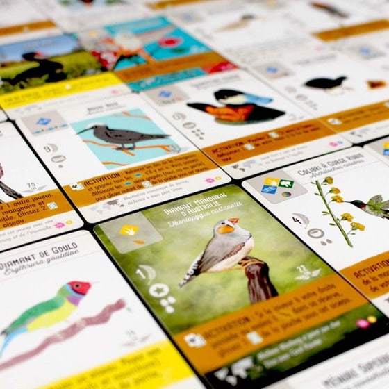 Wingspan Fan Art Pack image 2