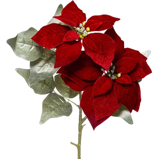 Χριστουγεννιάτικο Λουλούδι SpitiShop Poinsettia image 1