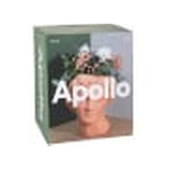 Βάζο Doiy Απόλλωνας Terracota image 3