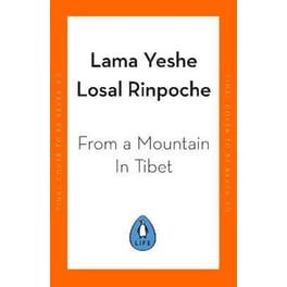 From a Mountain In Tibet