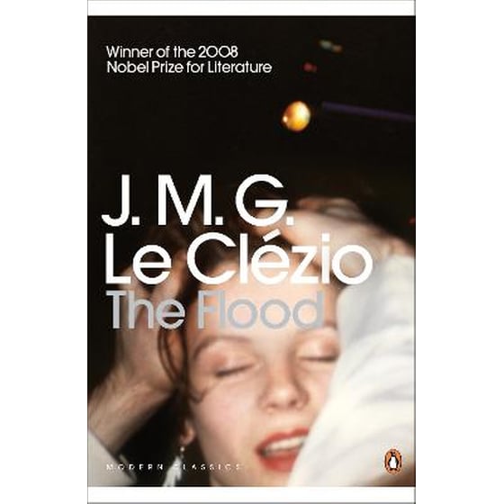 Flood image 0