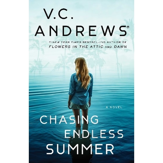 Chasing Endless Summer image 0